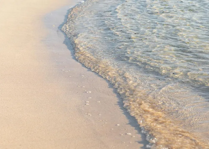 公寓 Home2book Vibrant Corralejo, Pool